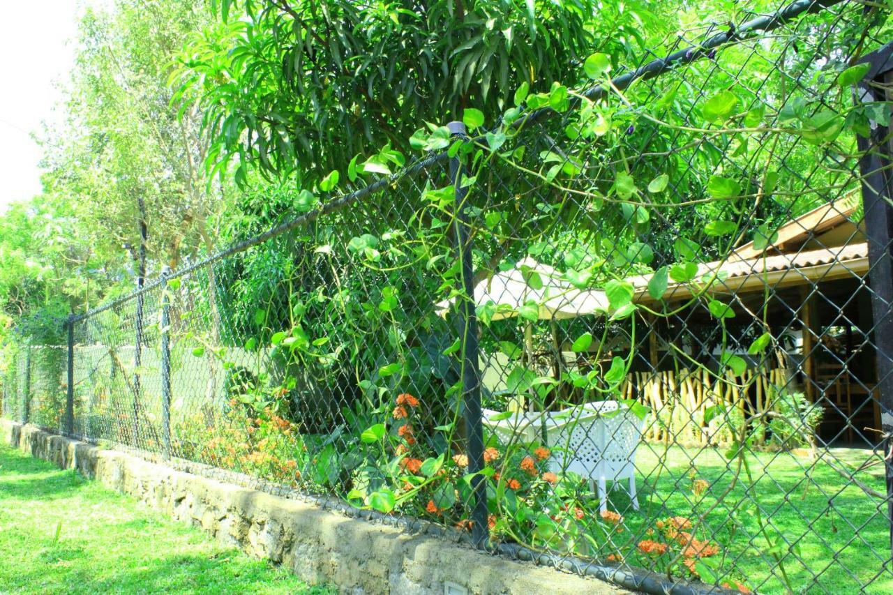 Homestay Thal Sewana Sigiriya