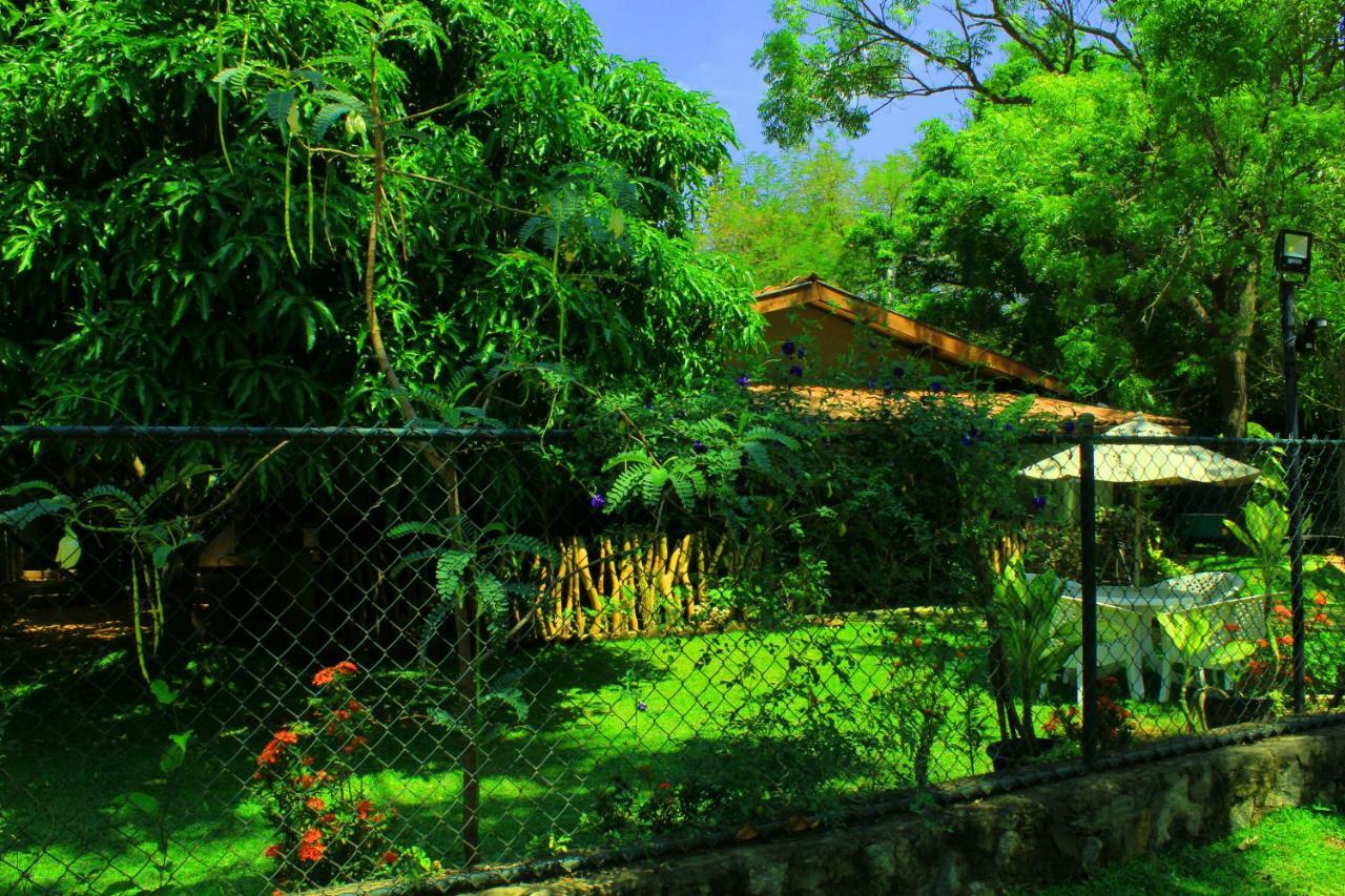 Homestay Thal Sewana Sigiriya
