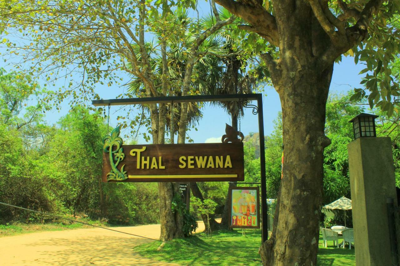 Thal Sewana