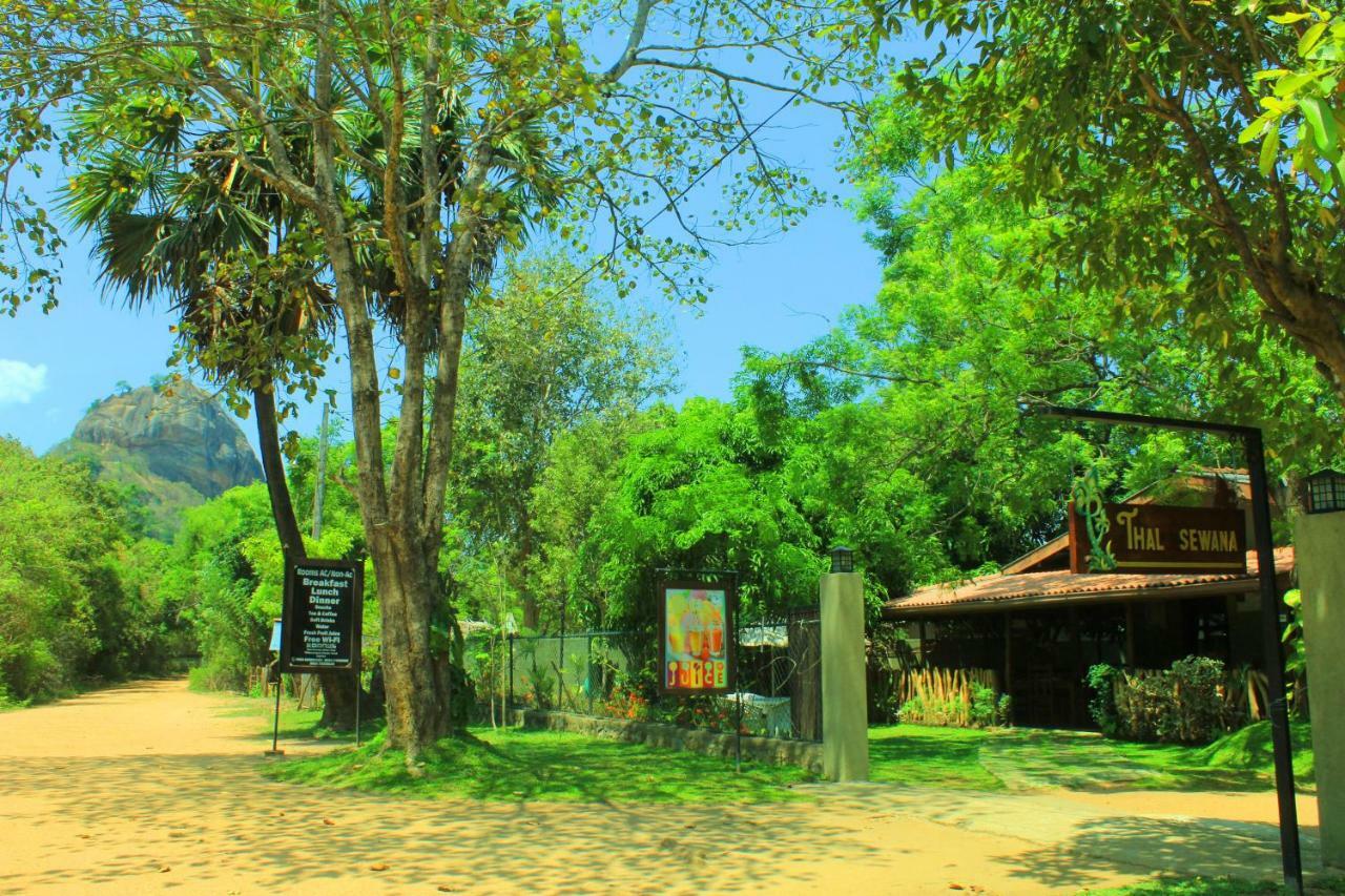 Thal Sewana