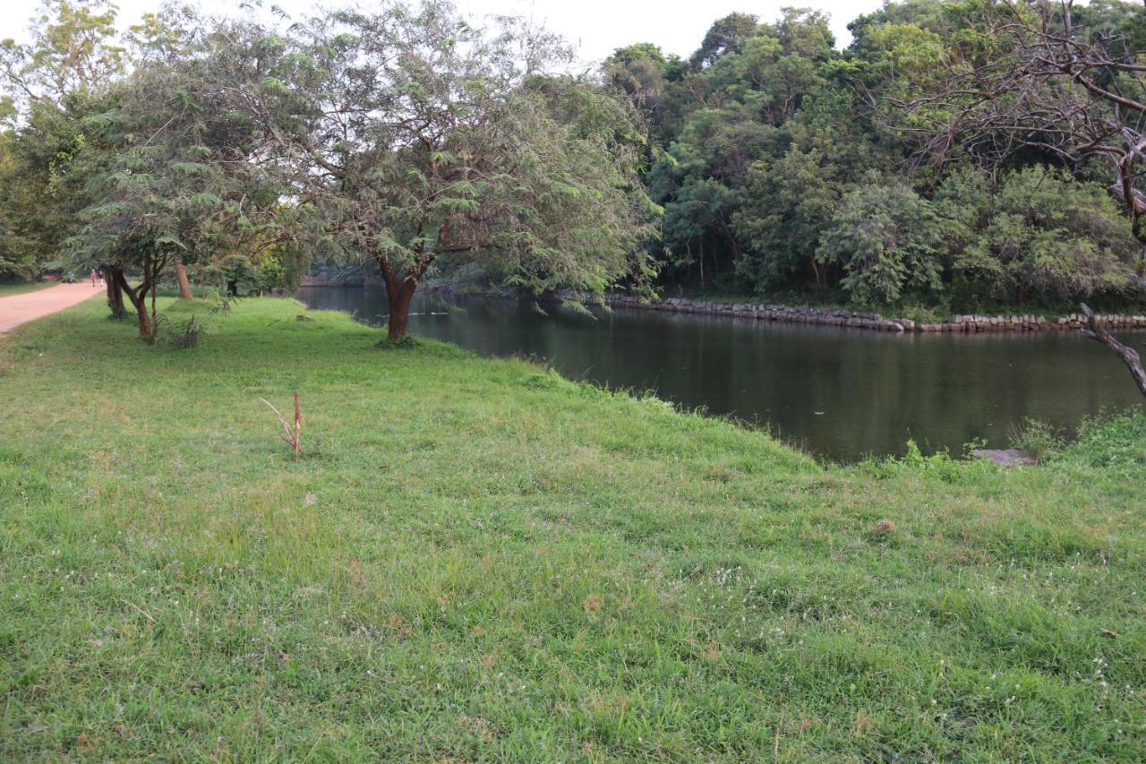 Thal Sewana * Sigiriya