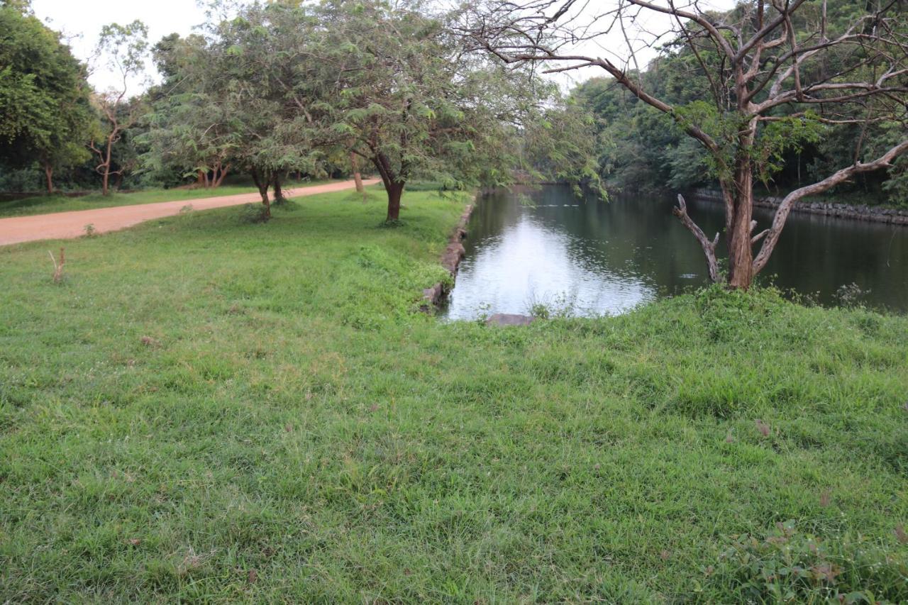 Thal Sewana Homestay Sigiriya