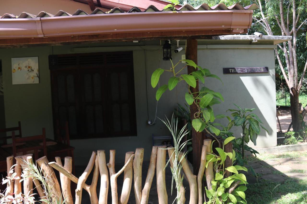 Homestay Thal Sewana Sigiriya