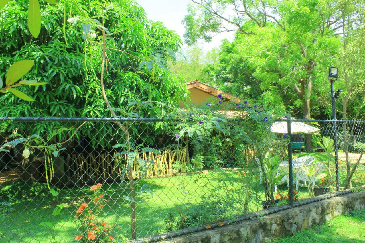 Thal Sewana * Sigiriya