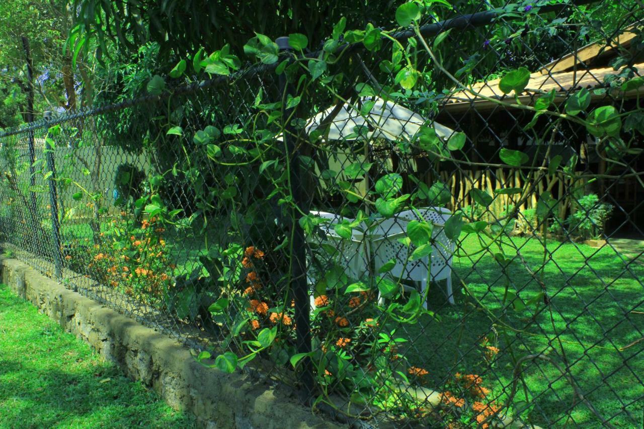 Thal Sewana Homestay Sigiriya
