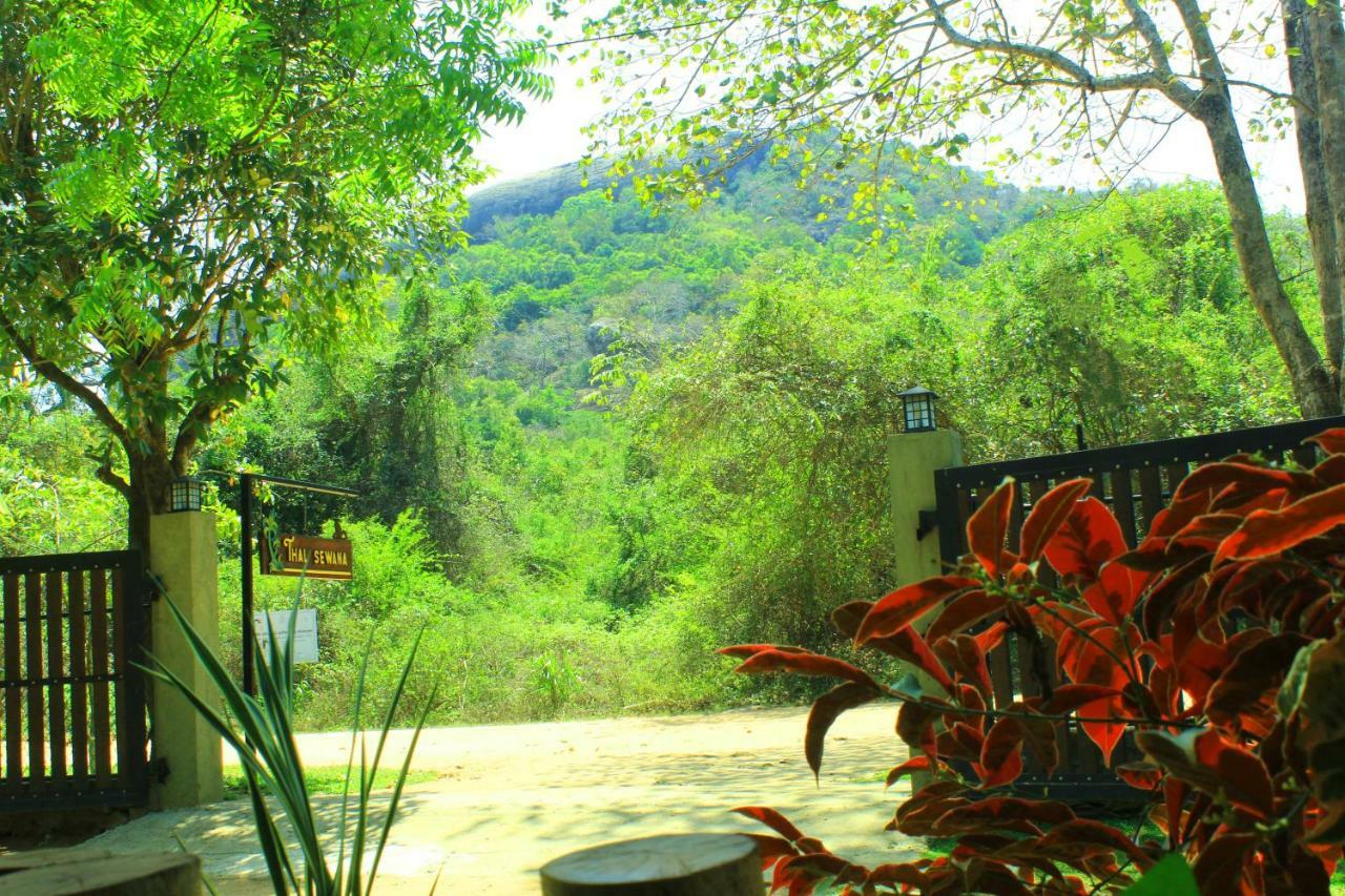 Thal Sewana Homestay