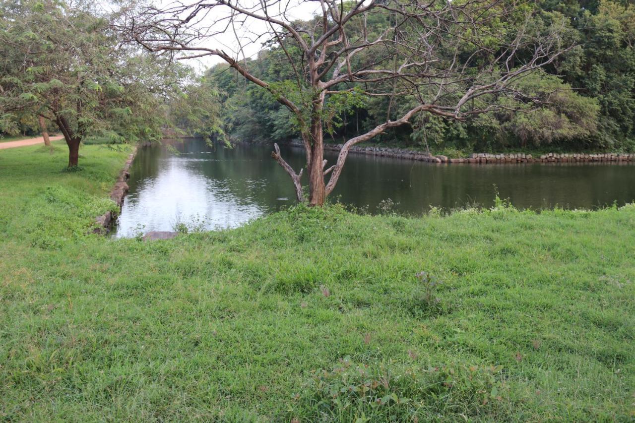 Thal Sewana Homestay Sigiriya