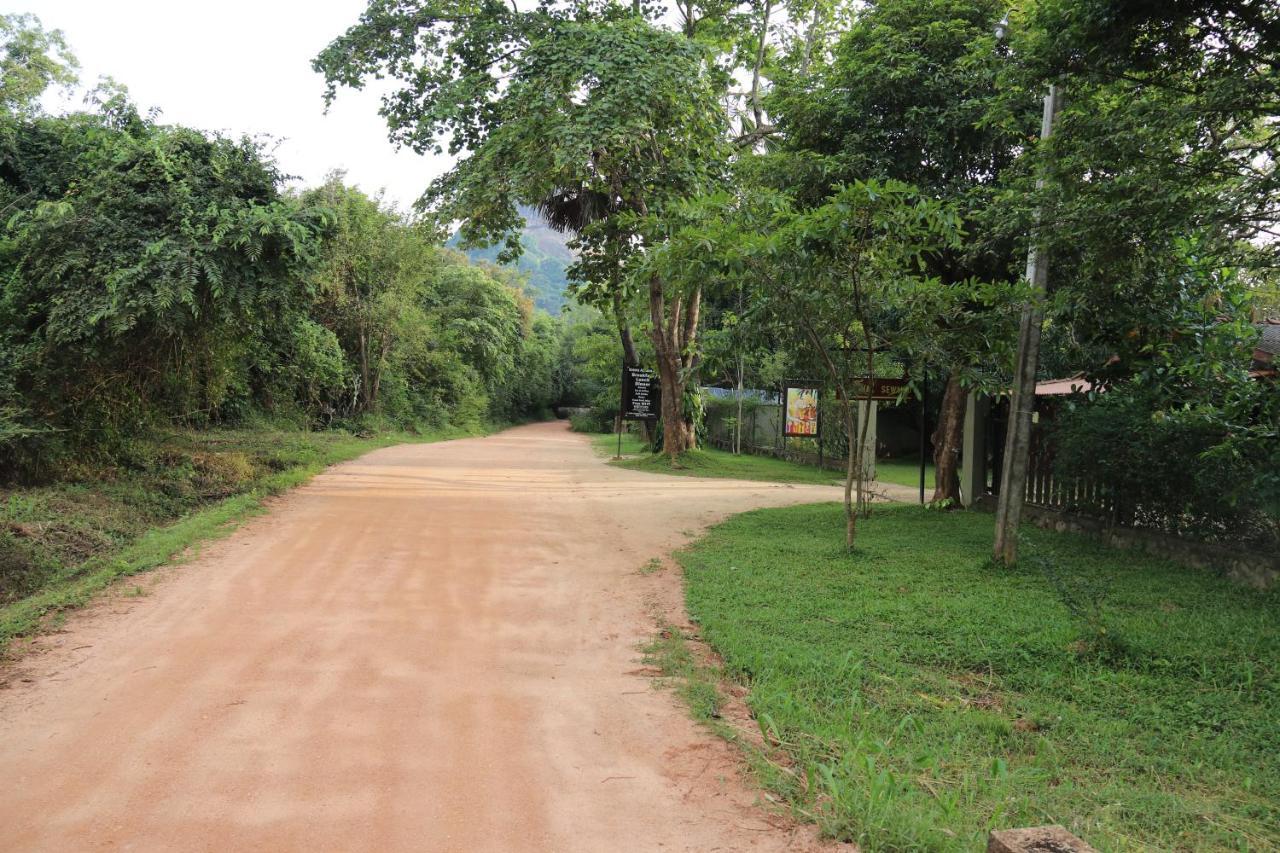 Thal Sewana Homestay Sigiriya